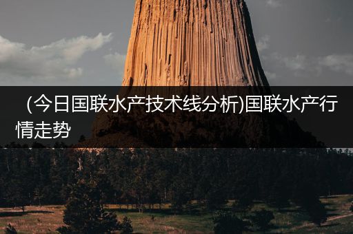 （今日国联水产技术线分析)国联水产行情走势