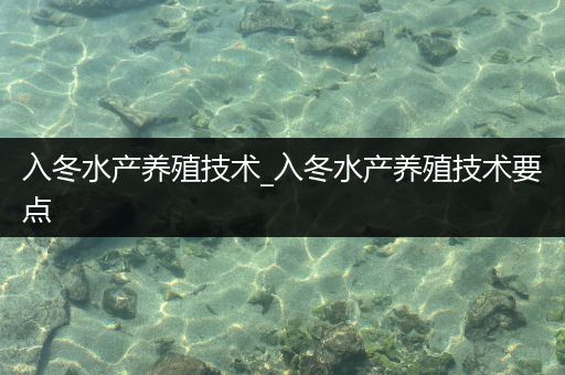 入冬水产养殖技术_入冬水产养殖技术要点