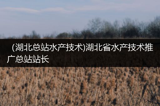 （湖北总站水产技术)湖北省水产技术推广总站站长