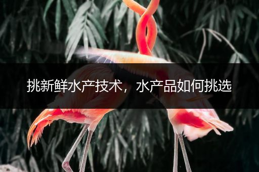 挑新鲜水产技术，水产品如何挑选